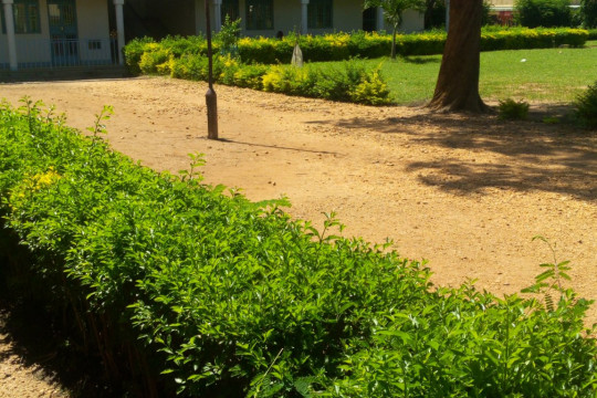 Uganda College Of Commerce Pakwach